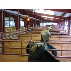 Horse Barns 19
