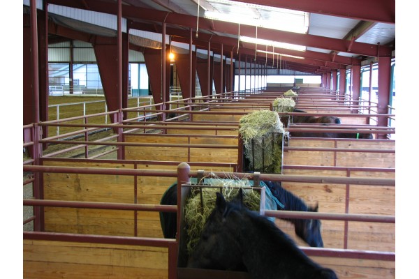 Horse Barns 19