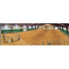 Horse Barns 31